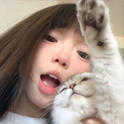 金鼠王